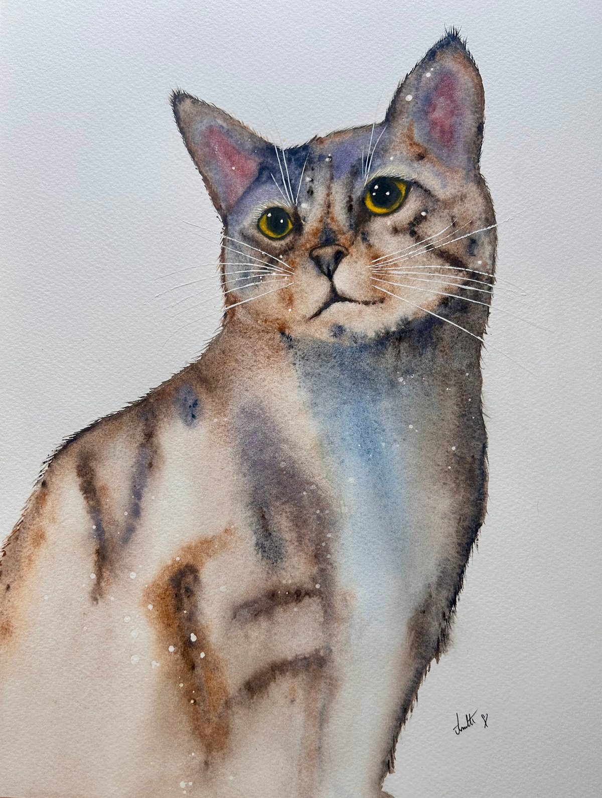 Original Paintings and Limited Edition Prints