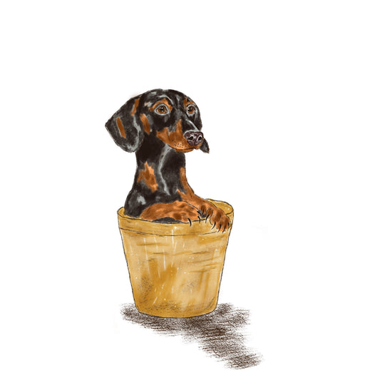 Portfolio Illustration - Dachshund in Plant Pot