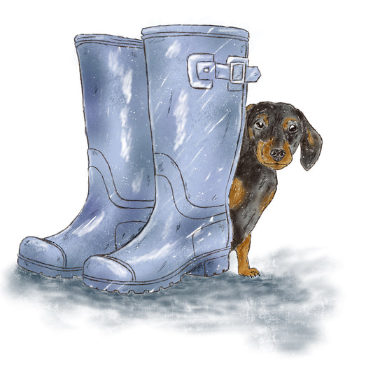 Portfolio Illustration Dachshund in Wellington boots