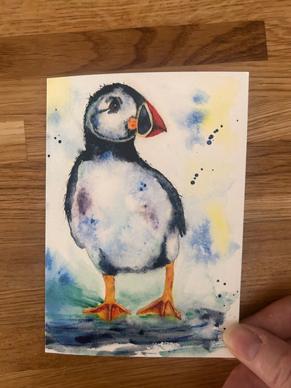 Puffin Greeting Card
